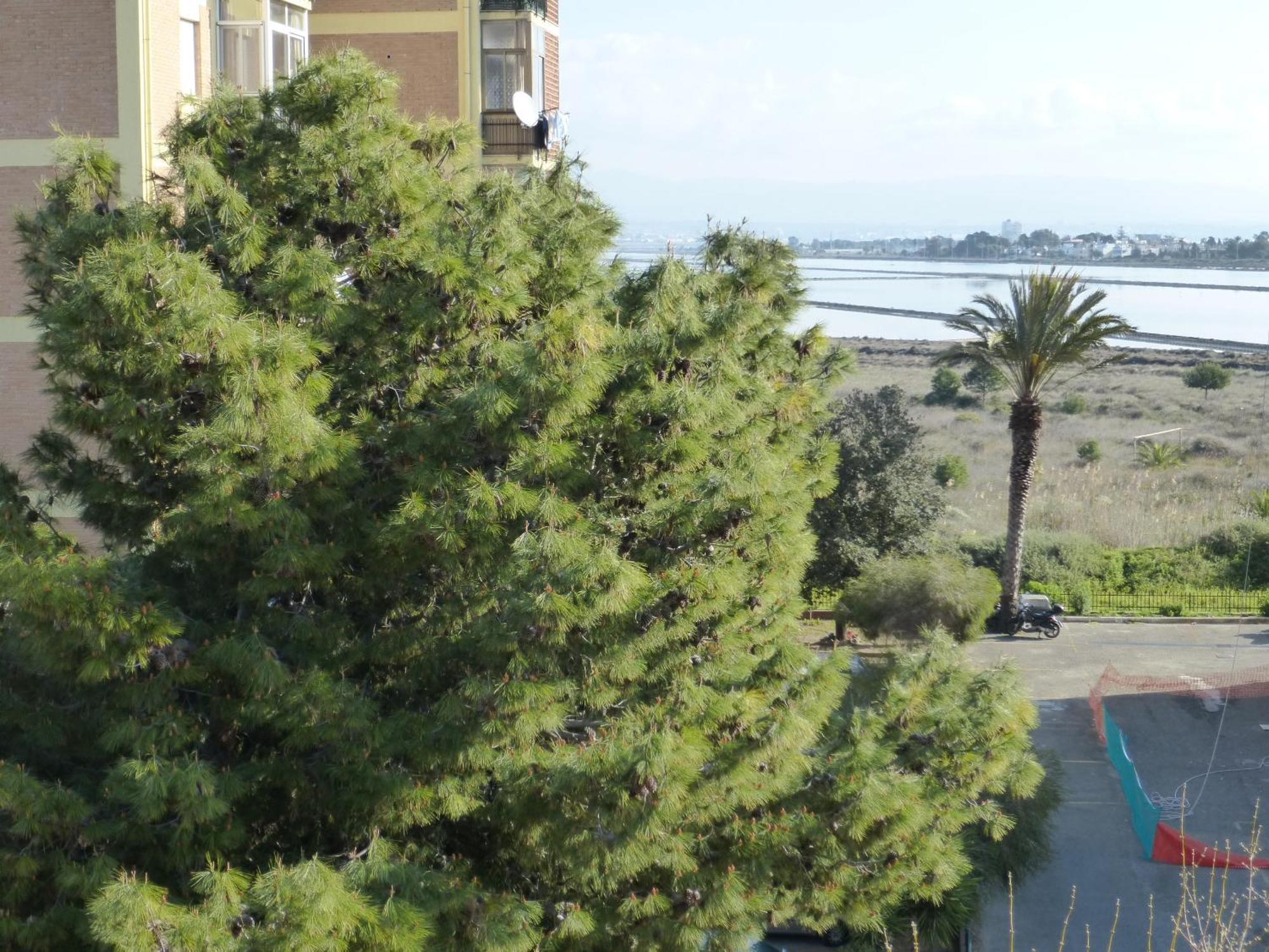 Chelu & Luna Cagliari Bagian luar foto