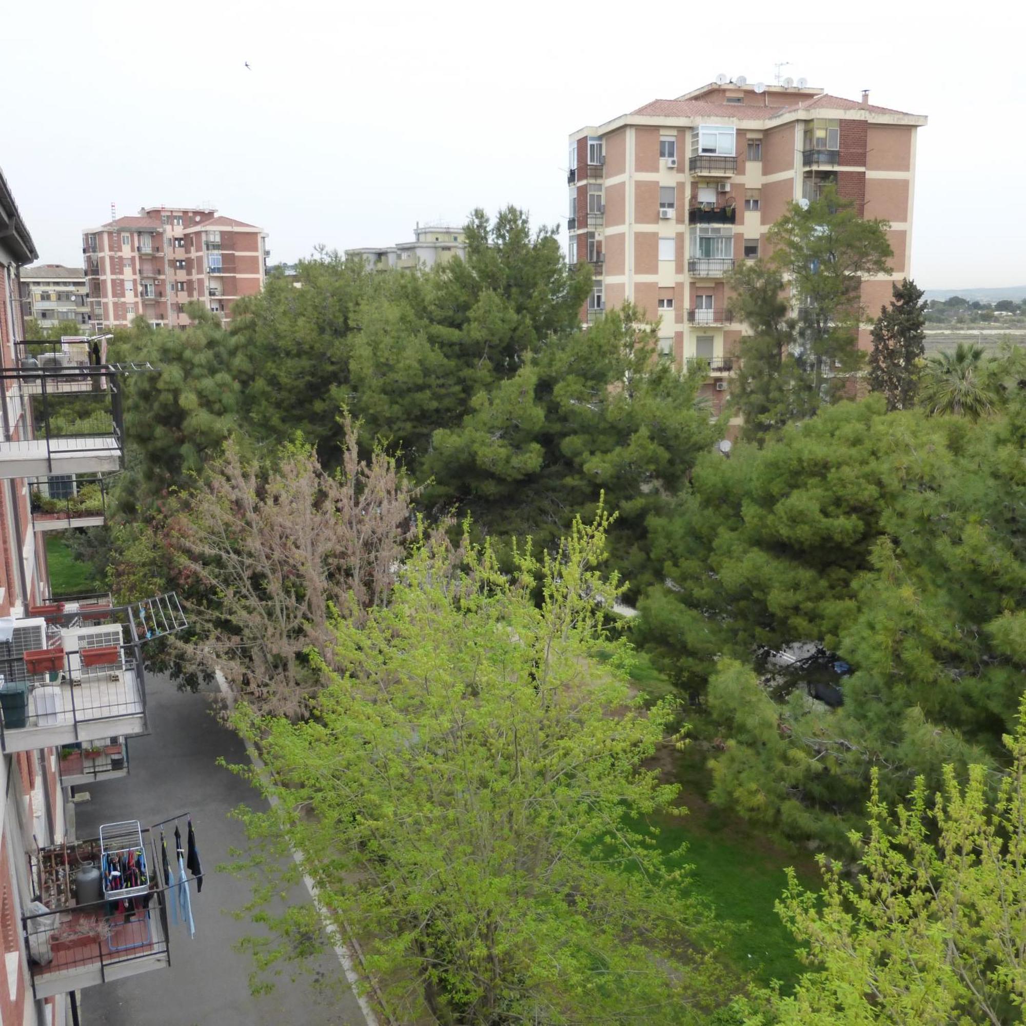 Chelu & Luna Cagliari Bagian luar foto